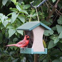 Load image into Gallery viewer, Small Hanging Bird Feeder - Green and Weatherwood