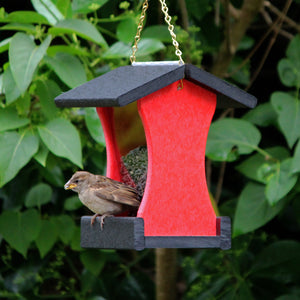 Small Hanging Bird Feeder - Red and Black