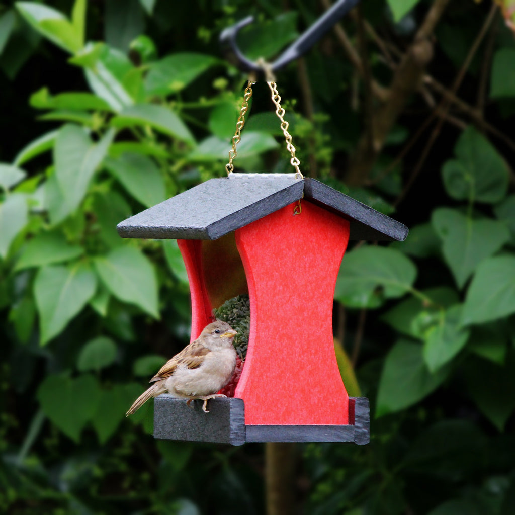 Small Hanging Bird Feeder - Red and Black