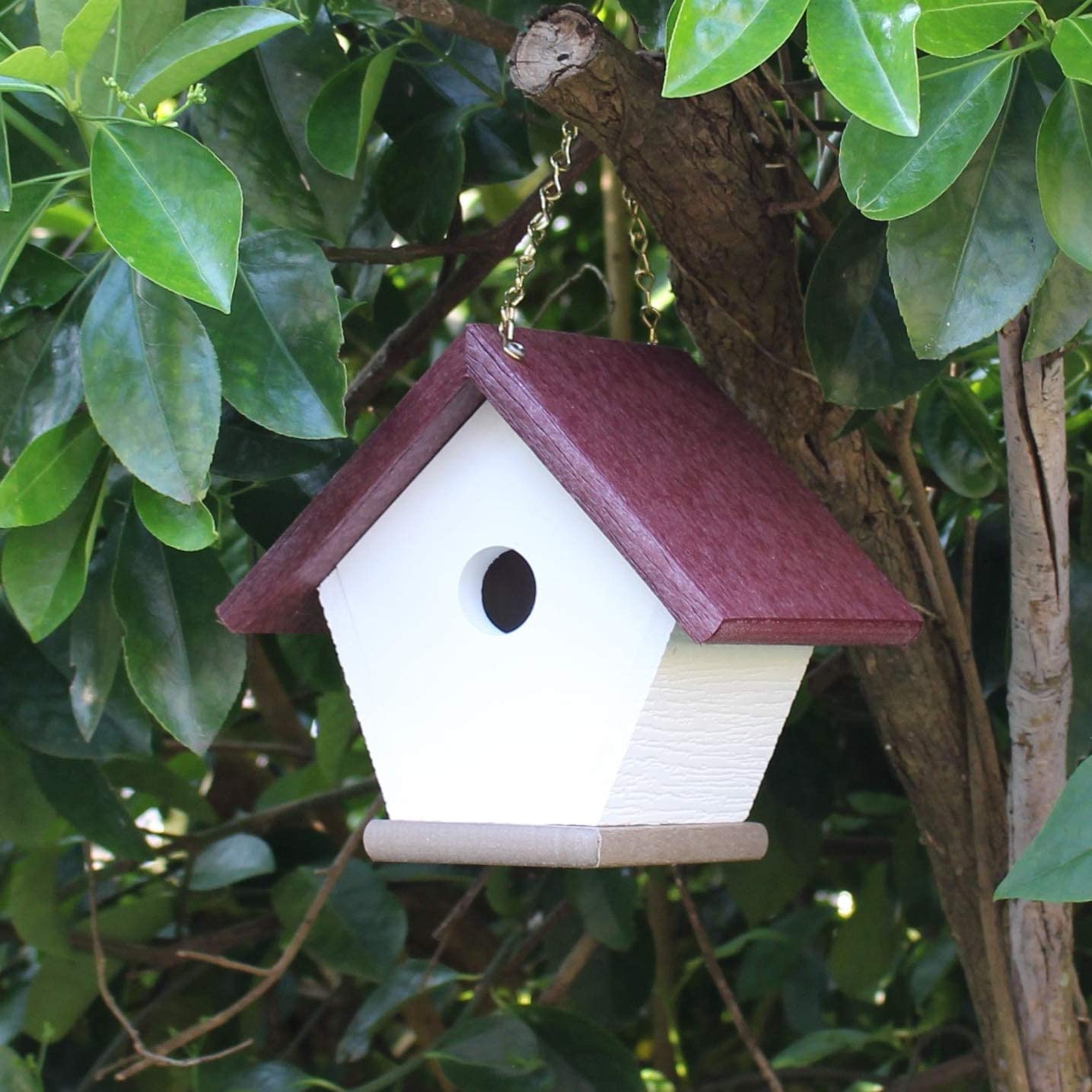 Hanging Wren and Chickadee House (Cherry) Made From Recycled Poly Lumber