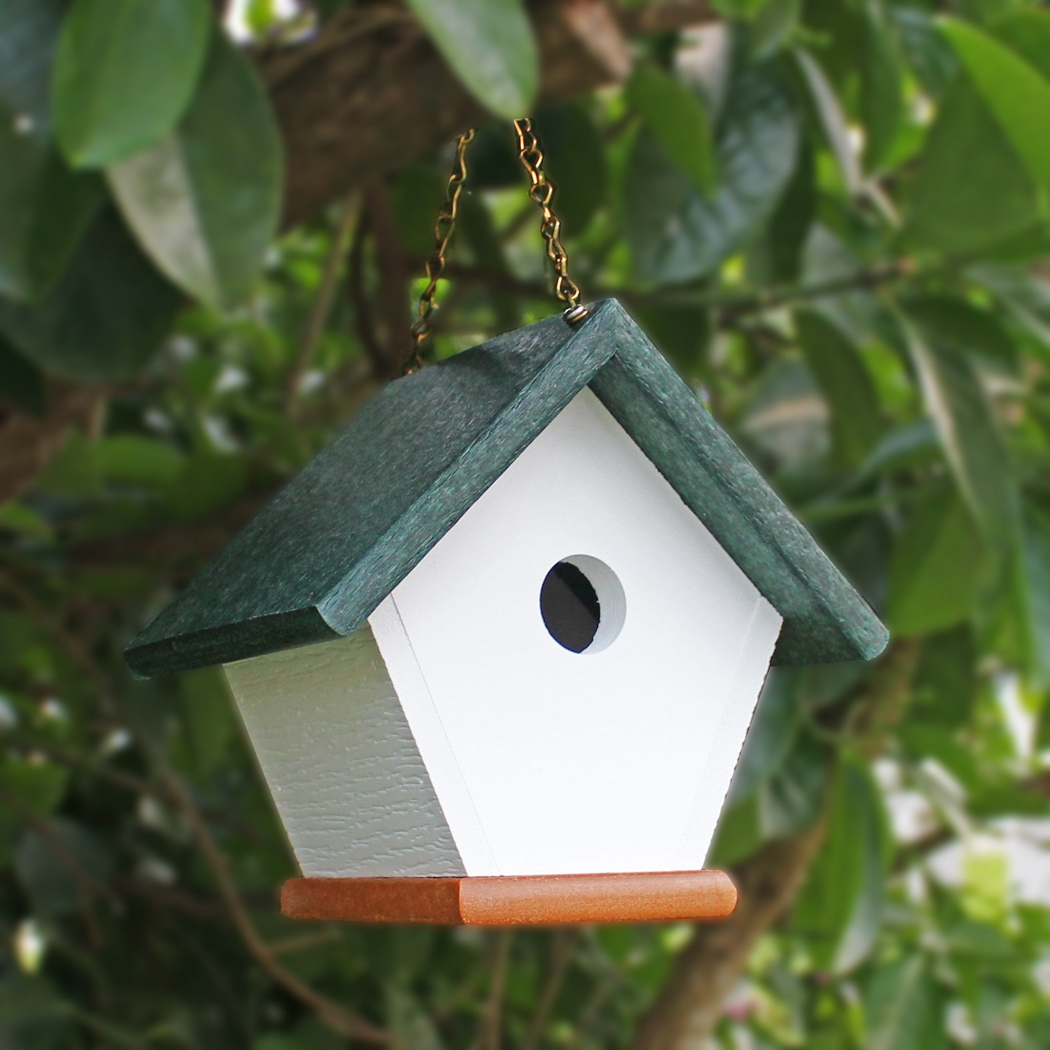 Hanging Wren and Chickadee House (Green) Made From Recycled Poly Lumber