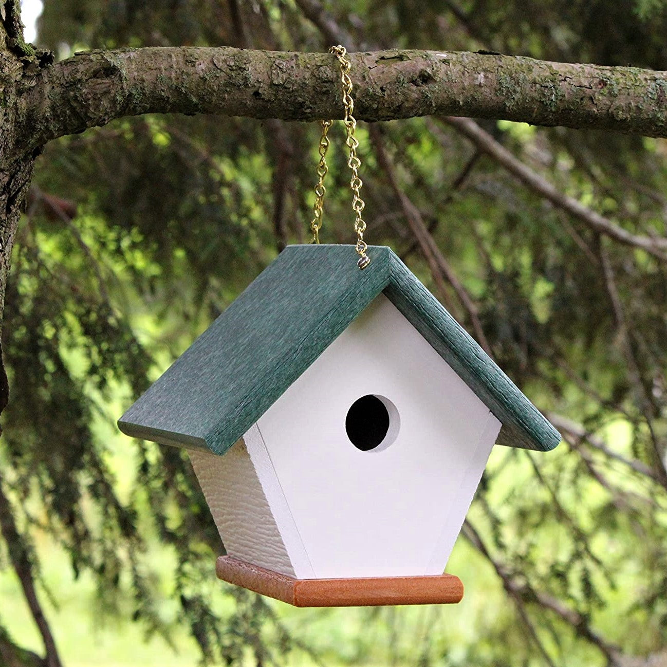 Hanging Wren and Chickadee House (Green) Made From Recycled Poly Lumber