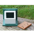 Hanging Wren and Chickadee House (Green) Made From Recycled Poly Lumber