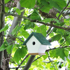 Hanging Wren and Chickadee House (Green) Made From Recycled Poly Lumber