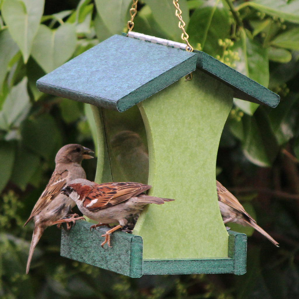 Small Hanging Bird Feeder - Forest Green and Lime