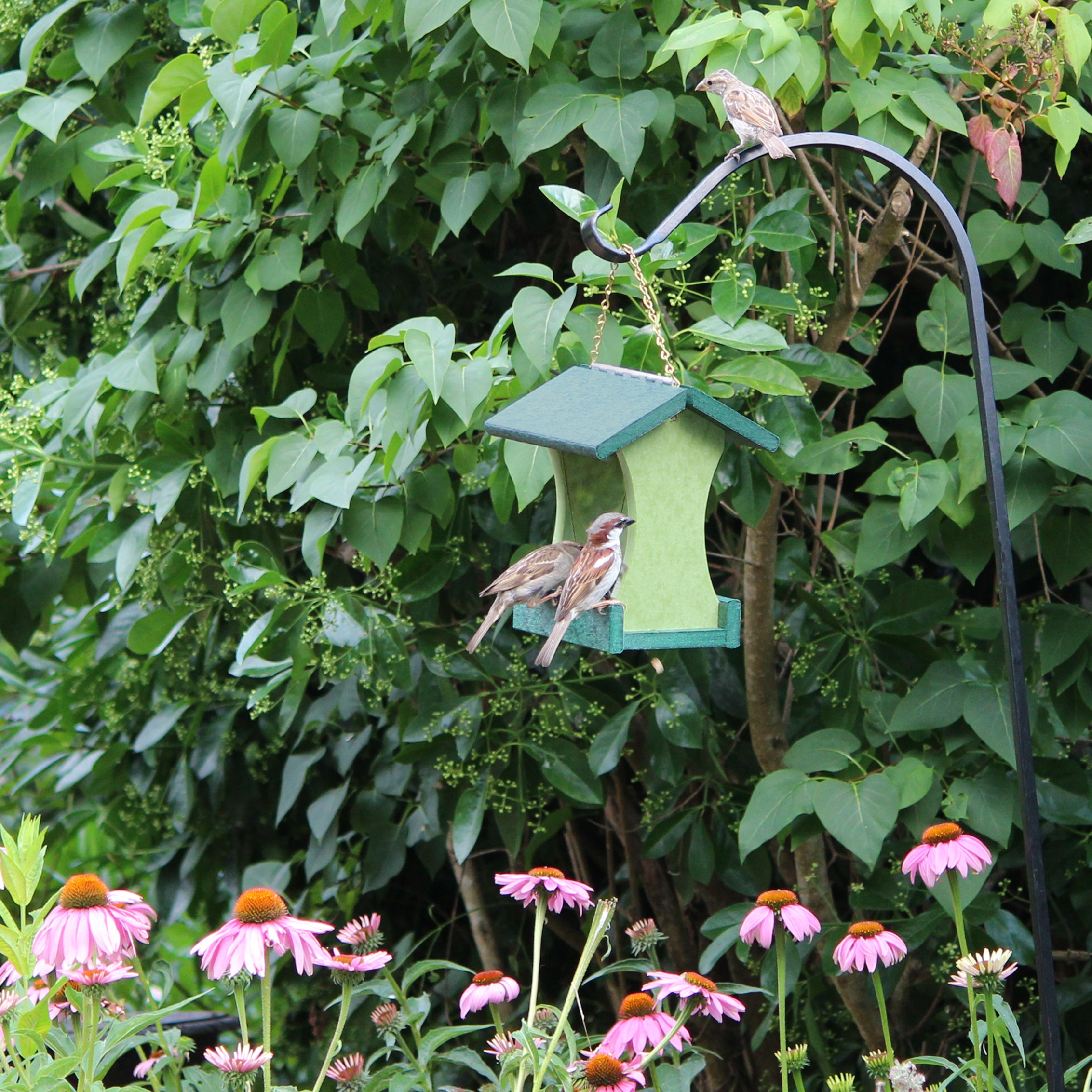 Small Hanging Bird Feeder - Forest Green and Lime