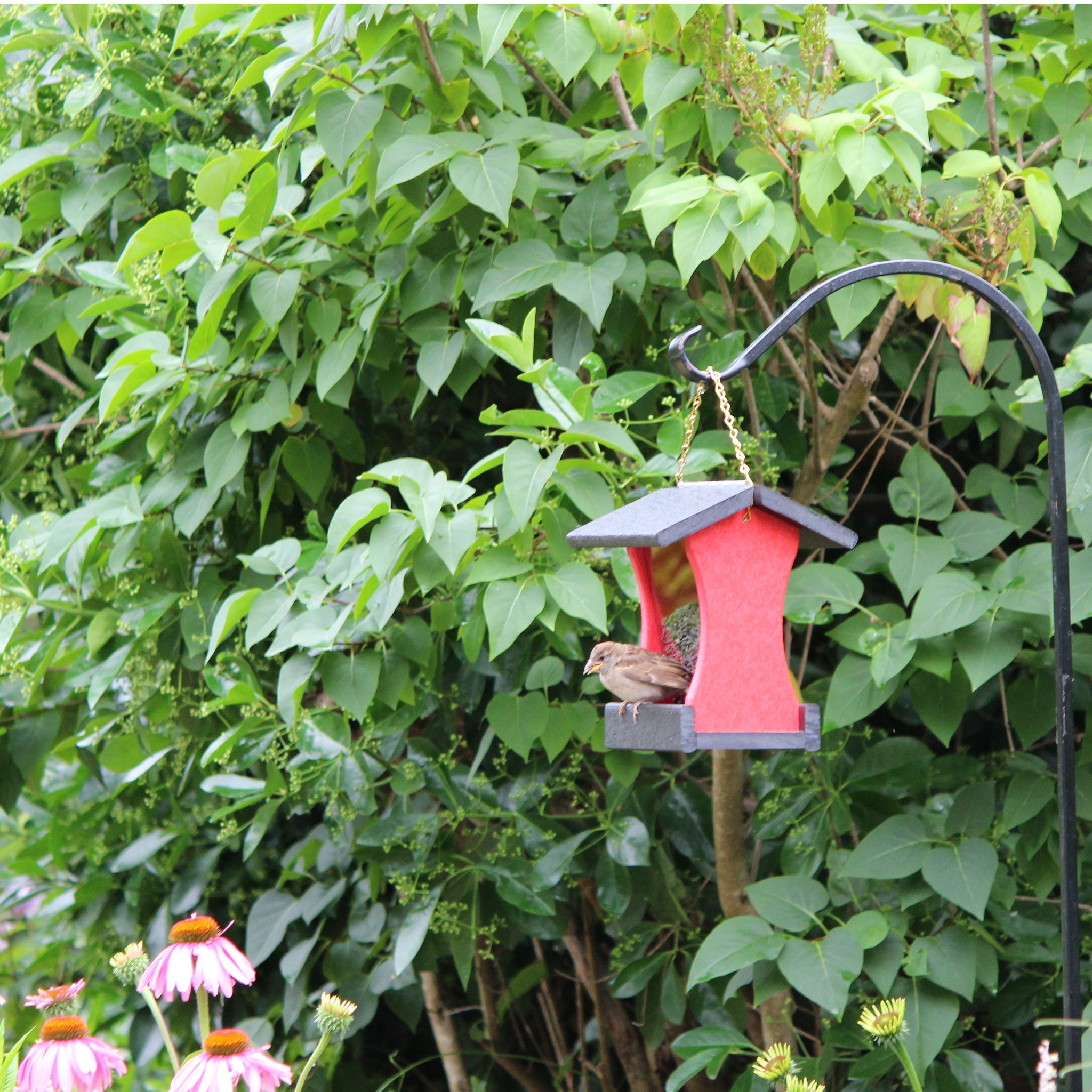 Small Hanging Bird Feeder - Red and Black