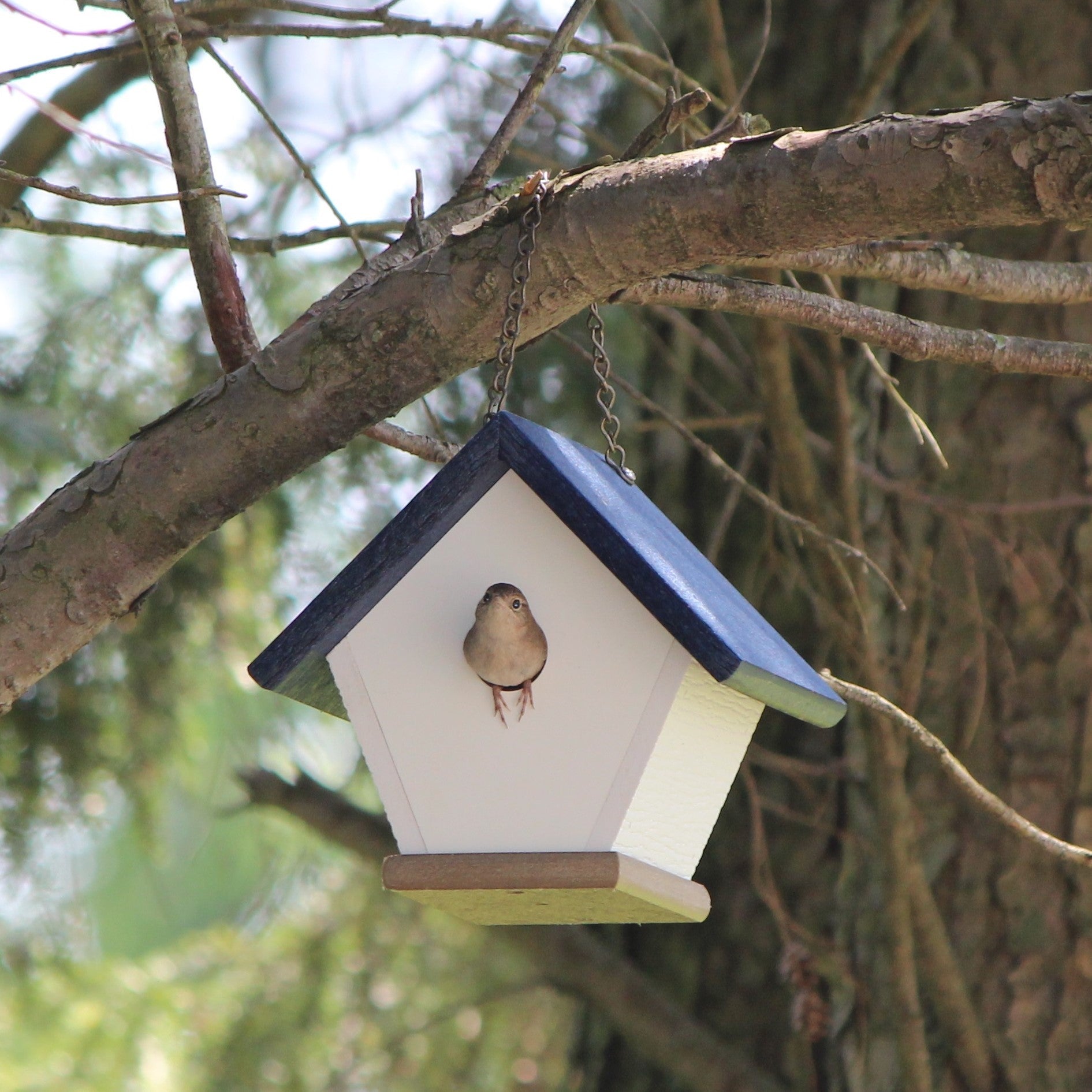 Hanging Wren and Chickadee House (Navy) Made From Recycled Poly Lumber